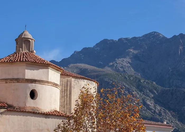 Locations Appartamento Calenzana
